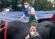 Rafathar Antusias Menyambut Enam Sapi Kurban dari Ayahnya Raffi Ahmad