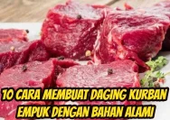 Rahasia Mengempukkan Daging Kurban dengan Bahan Alami
