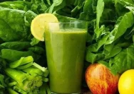 Rekomendasi Jus Sayur Terbaik untuk Turunkan Berat Badan