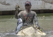 Ria Ricis Beraksi di Sungai Ciliwung: Menangkap Ikan Sapu-sapu demi Lingkungan