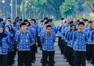 Ribuan Honorer Menanti Keputusan: Nasib PPPK Paruh Waktu Segera Dibahas