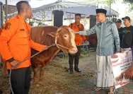 Sapi Kurban Prabowo dari Banpres, MUI Nilai Sesuai Syariat