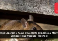 Semarang Tetap Waspada Hantavirus Meski Tidak Ditemukan Kasus