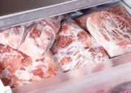 Simpan Stok Kurban di Freezer dengan Benar: 5 Langkah Mudah untuk Makanan Segar Hingga 6 Bulan