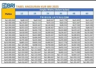 Simulasi Cicilan KUR BRI 2026: Pinjaman Rp250 Juta dengan Syarat dan Cara Pengajuannya