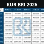 Simulasi Pinjaman KUR BRI 2026 untuk Modal UMKM: Cicilan Terendah Rp500 Ribuan