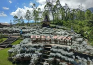 Taman Edelweis Wonokitri Pasuruan: Keindahan Bunga yang Mengagumkan