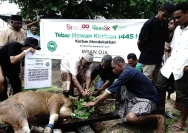 TBIG Salurkan Hewan Kurban untuk Masyarakat di Enam Provinsi
