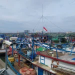 Terpukul Harga Solar, Ratusan Nelayan Muara Angke Terpaksa Tunda Perairan