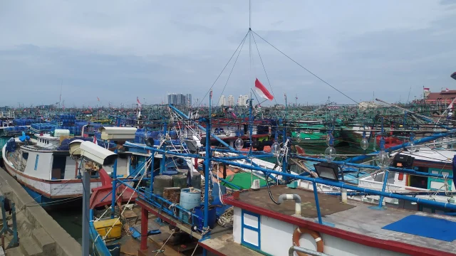 Terpukul Harga Solar, Ratusan Nelayan Muara Angke Terpaksa Tunda Perairan