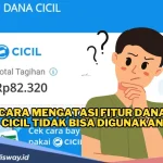 Tips Mengatasi DANA Cicil Tidak Tersedia: 8 Langkah untuk Mengaktifkan Fitur Cicilan