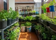Tips Menjadikan Kebun Sayur Mini Produktif Setiap Minggu