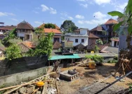 Transformasi Ubud: Dari Desa Sunyi Menjadi Ikon Global