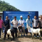 UNIMUGO Tandatangani Keberkahan Idul Adha dengan 1.800 Paket Daging Qurban