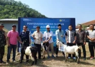 UNIMUGO Tandatangani Keberkahan Idul Adha dengan 1.800 Paket Daging Qurban