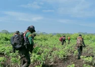 UPL MPA Unsoed Gelar Simulasi Penjelajahan Rawa di Cilacap: Meningkatkan Keterampilan dan Kesadaran Lingkungan