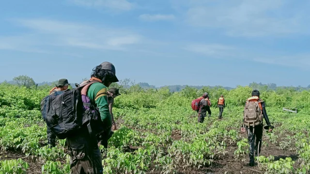 UPL MPA Unsoed Gelar Simulasi Penjelajahan Rawa di Cilacap: Meningkatkan Keterampilan dan Kesadaran Lingkungan