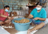 Usaha Keripik Ayam Biru Milik Ibu Rumah Tangga di Denpasar Meningkatkan Perekonomian