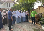 Wali Kota Alfin Sembelih Hewan Qurban di Sungai Penuh, Perkuat Semangat Kebersamaan