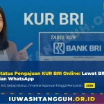 Waspada Penipuan KUR, Proses Pengajuan Kredit Usaha Rakyat BRI Tidak Ditawarkan Secara Online