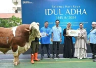 YBM PLN UID Sulselrabar Berikan Kebaikan Melalui Program Tebar Berkah Daging di Idul Adha 1447 H