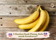 5 Manfaat Pisang untuk Kesehatan Tubuh yang Harus Diketahui
