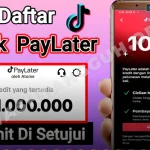Aktivasi TikTok Paylater 2026: Cara Kerja dan Penggunaan yang Mudah