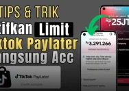 Aktivasi TikTok PayLater: Cara Mudah Belanja dengan Kredit