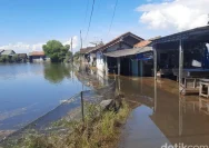 Banjir Rob di Pati: Warga Tunggulsari Bertahan di Rumah Keropos