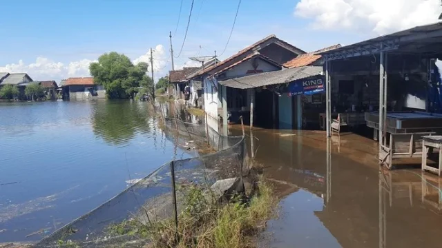 Banjir Rob di Pati: Warga Tunggulsari Bertahan di Rumah Keropos