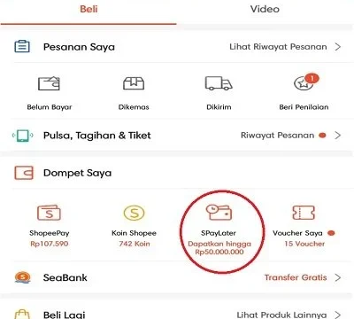 Cara Daftar SPayLater Shopee 2026 untuk Pemula: Tips dan Persyaratan