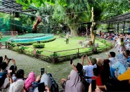 Gembira Loka Zoo Mengadakan Acara Edukasi Konservasi di The Park Mall Semarang