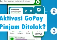 Gopay Pinjam: Penyebab Pengajuan Ditolak dan Cara Mengatasinya