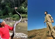 Guru Panji Petualang Heru Gundul Pulih dari Semburan Bisa Ular Kobra