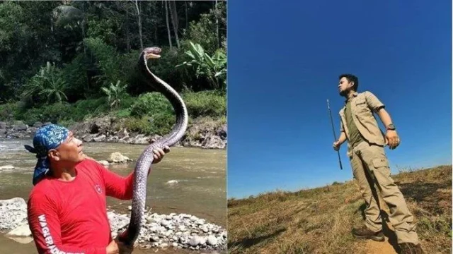 Guru Panji Petualang Heru Gundul Pulih dari Semburan Bisa Ular Kobra