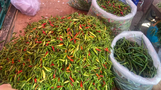 Harga Cabai Rawit di Pati Turun Drastis Pasca Iduladha