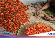 Harga Sembako di Sungai Penuh 1 Juni 2026: Cabai dan Daging Ayam Turun