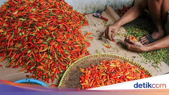 Harga Sembako di Sungai Penuh 1 Juni 2026: Cabai dan Daging Ayam Turun