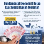 Istana Menjamin Ekonomi Indonesia Tetap Kokoh Meski Rupiah Melemah
