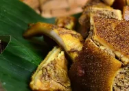 Jeroan Sapi: Manfaat dan Risiko Kesehatan yang Perlu Diketahui