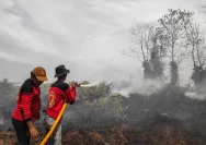 Kebakaran Hutan Meluas di Kalimantan Tengah, Pemadam Kekurangan Personel