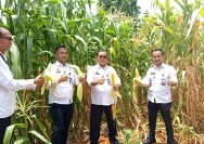 Lapas Pati Gelar Panen Jagung 85 Kilogram, Warga Binaan Didorong Mandiri dan Produktif