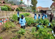 Mahasiswa KKN UIN Walisongo Menghijaukan Desa Tanggul dengan Penanaman Pohon