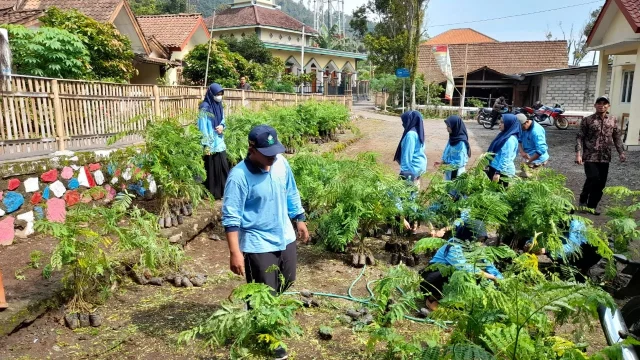 Mahasiswa KKN UIN Walisongo Menghijaukan Desa Tanggul dengan Penanaman Pohon