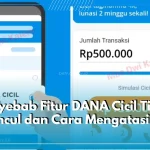 Mengapa Fitur DANA Cicil Tidak Muncul dan Cara Mengatasinya