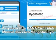 Mengapa Fitur DANA Cicil Tidak Muncul dan Cara Mengatasinya