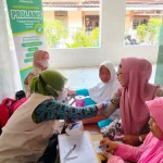 Menkes Ingatkan Masyarakat Rutin Deteksi Penyakit Hati Kronis