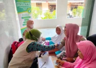 Menkes Ingatkan Masyarakat Rutin Deteksi Penyakit Hati Kronis