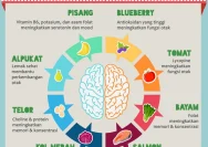 Nutrisi Penting untuk Meningkatkan Perkembangan Otak Anak