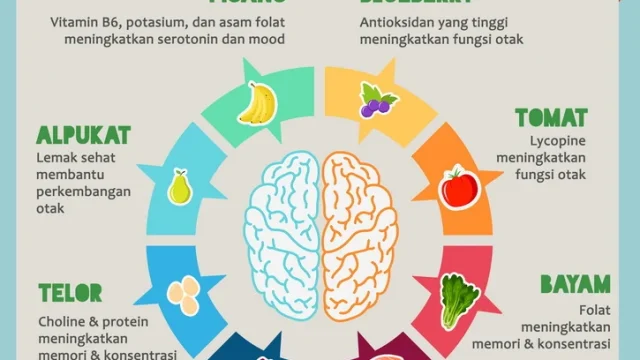 Nutrisi Penting untuk Meningkatkan Perkembangan Otak Anak
